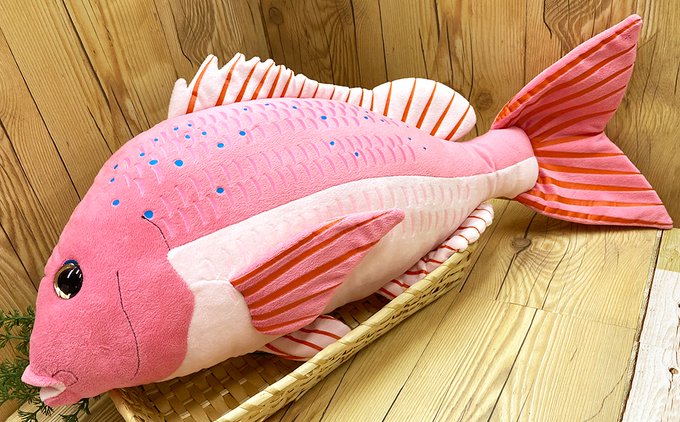 ティーエスティーアドバンスのtwitterイラスト検索結果