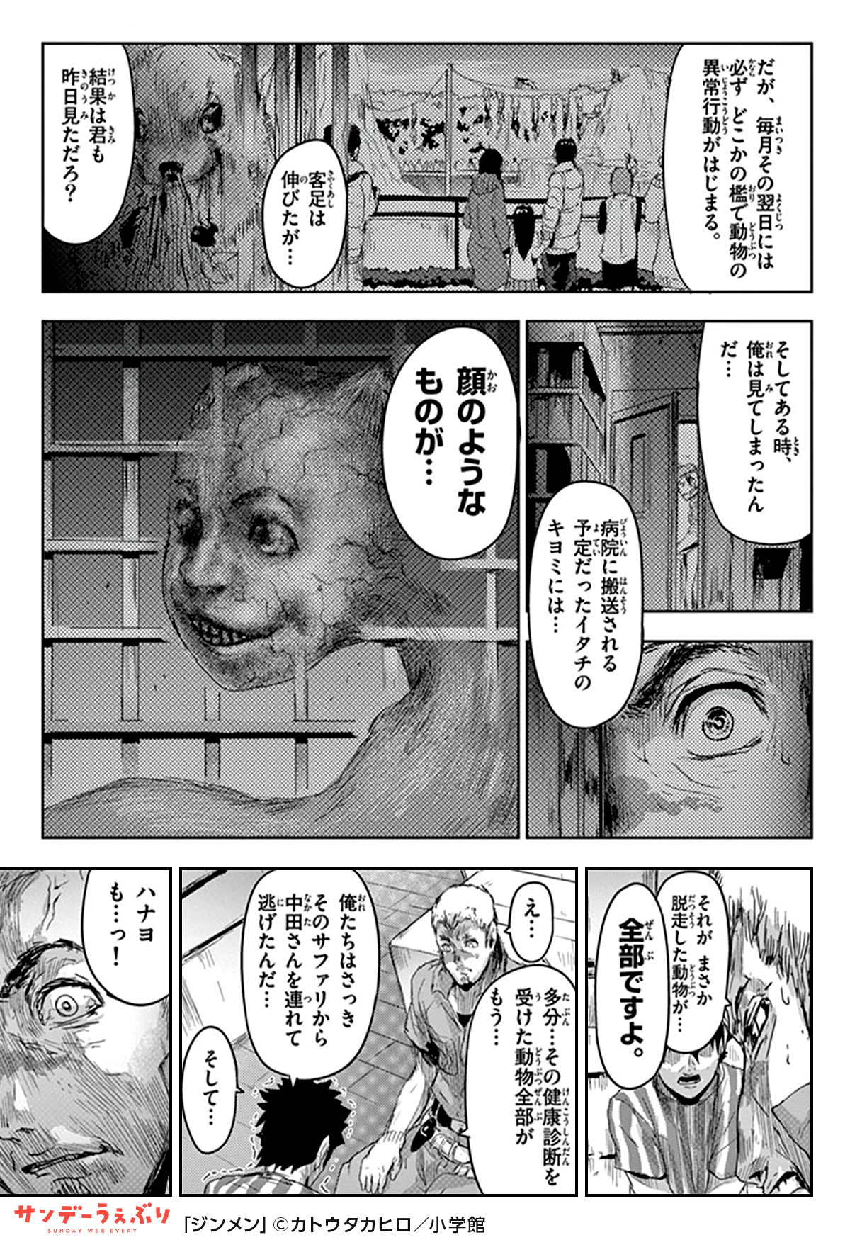 公式 サンデーうぇぶり プロモーション 動物園にいた ジンメン から 逃げ切った先で マサト達が出会ったのは T Co X1gublnslw