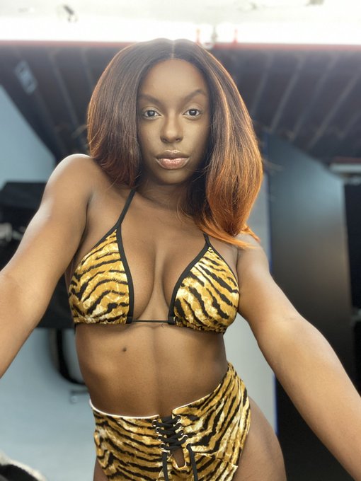 Thinking that I&rsquo;m wearing this wig ALL FALL. #bewitchingseason https://t.co/GEjk9qmxFh<a href="/tag/bewitchingseason"class="tags">#bewitchingseason</a>