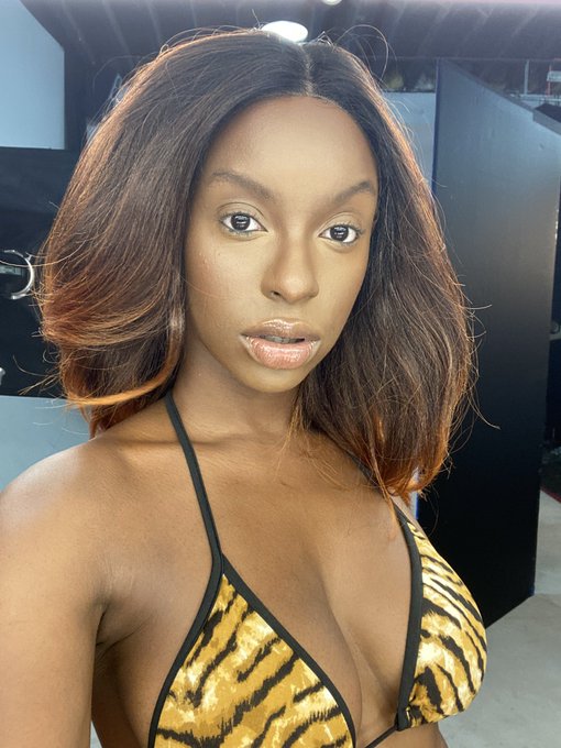 Thinking that I&rsquo;m wearing this wig ALL FALL. #bewitchingseason https://t.co/GEjk9qmxFh<a href="/tag/bewitchingseason"class="tags">#bewitchingseason</a>