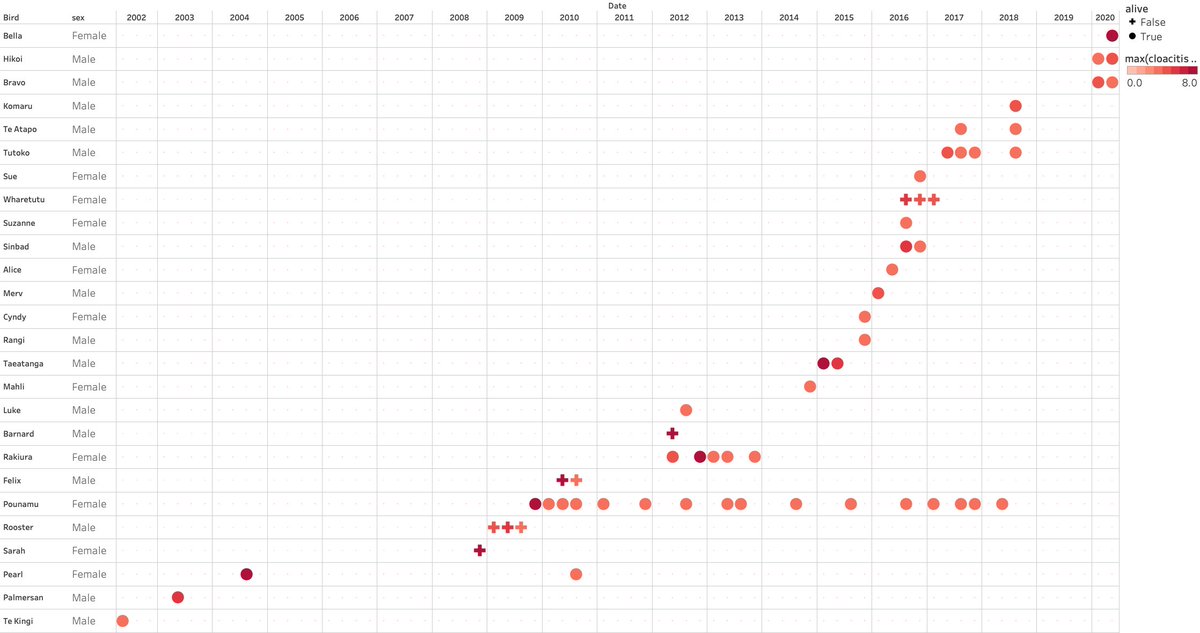 What is cloacitis? It’s an inflammation of the cloaca that has been seen in  #kakapo since 2002. It’s killed at least one, and would have killed several more without medical intervention. I would show a picture, but you might be eating, so here’s a graph instead :-)  #disease