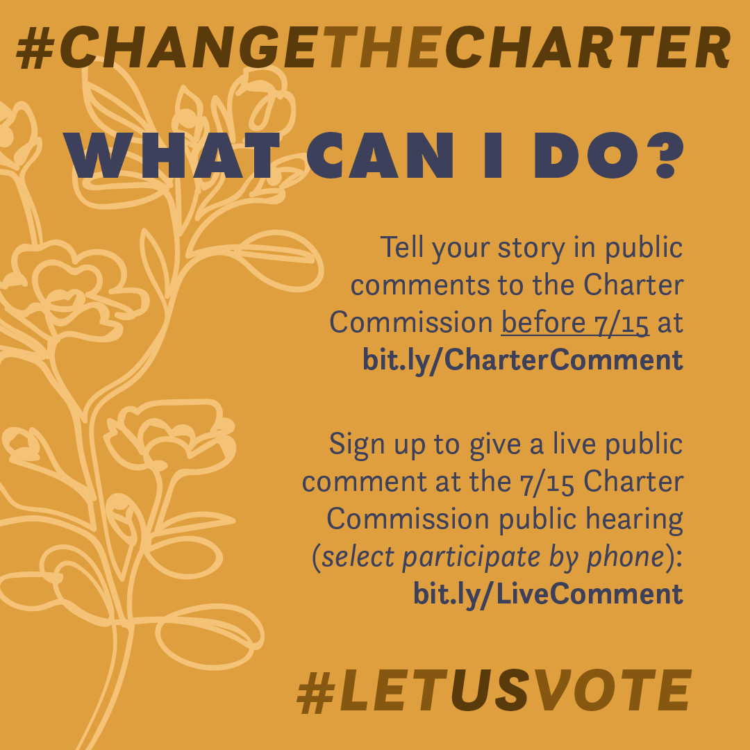 Tell your story in public comments. Go to  https://bit.ly/CharterComment&nbsp; before 7/15.Register to give a live public comment on 7/15. Select participate by phone, enter “community safety amendment" for the agenda item at  https://bit.ly/LiveComment&nbsp;  #ChangeTheCharter  #LetUsVote 6/10