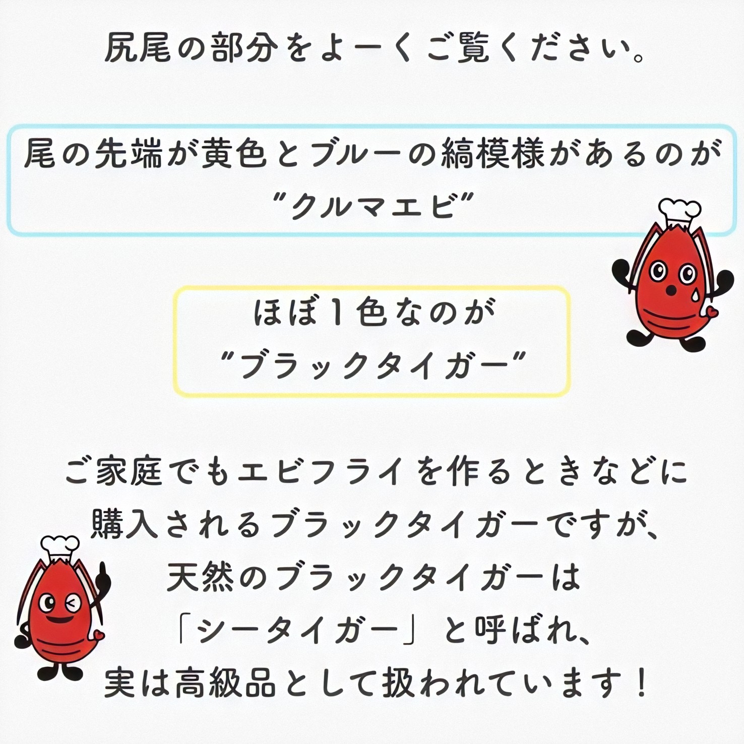 海老のうんちく Twitter Search Twitter