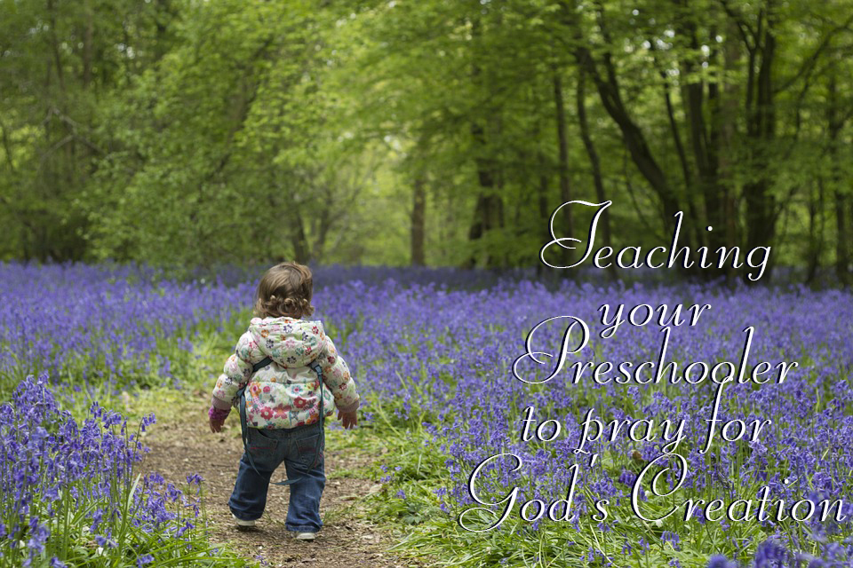 Teaching Preschoolers to Pray for God’s Creation creationcare.org/een-moms-blog.… #kidsprayer