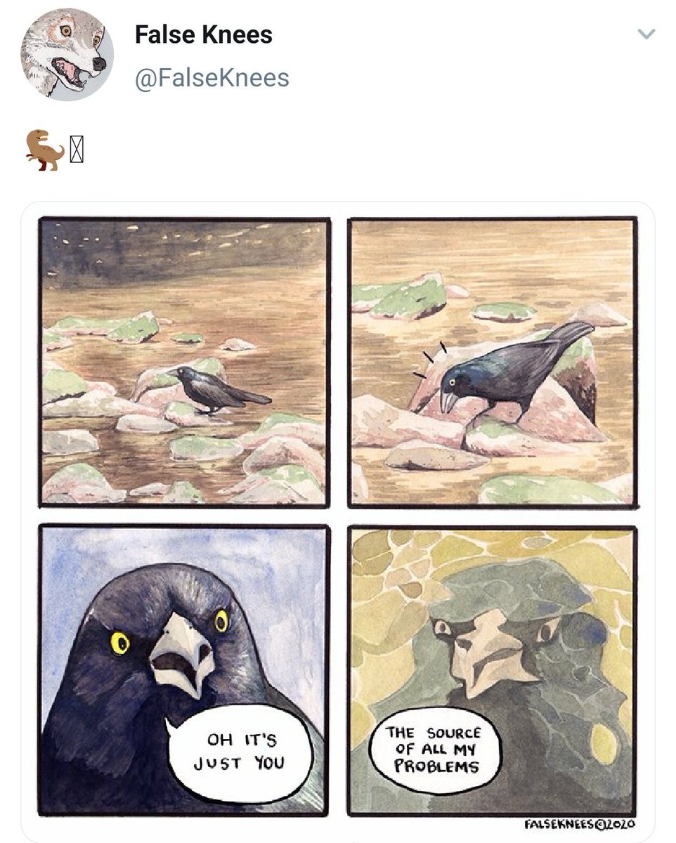  @BirdStrips and  @FalseKnees puts nature and comics together !! i love these birds so much i wish to paint birds that express as much emotion and empathy as these