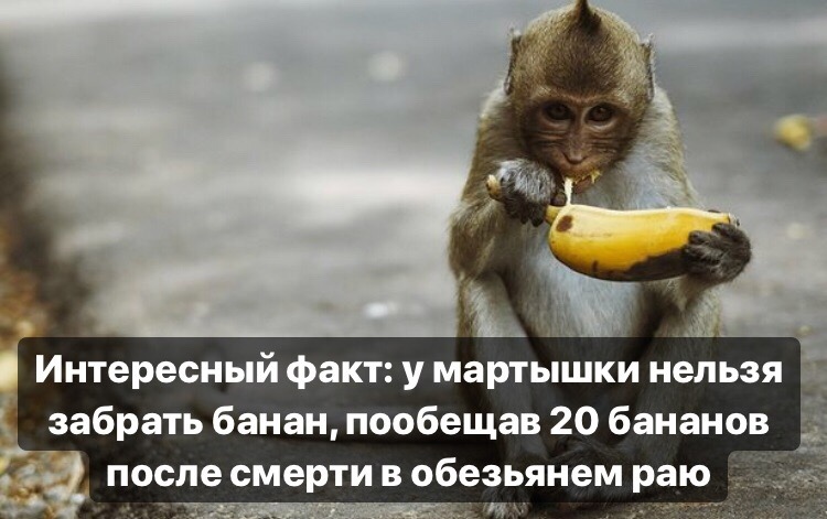 Верховный суд признал ответственность владельца "T.B. Fruit" Барщовского, как поручителя по кредитам на 75 млн евро - Цензор.НЕТ 4683