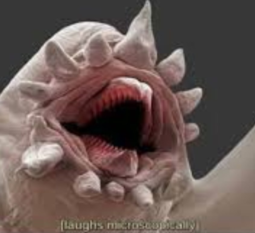 N2Mischeif's tweet photo. @realDonaldTrump Meanwhile Coronavirus has surpassed 3 million in the US https://t.co/OA35aUjcnu