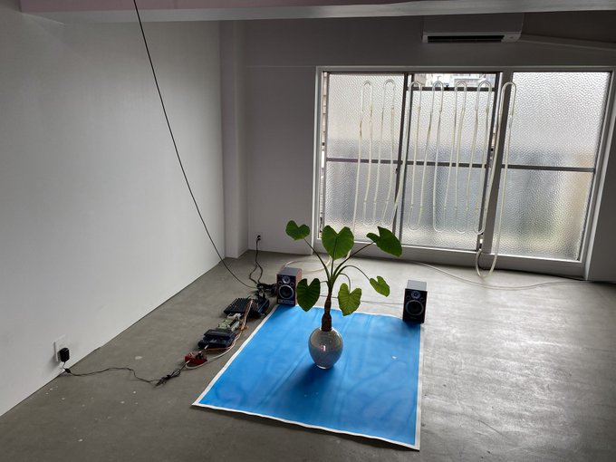 桜里のtwitterイラスト検索結果