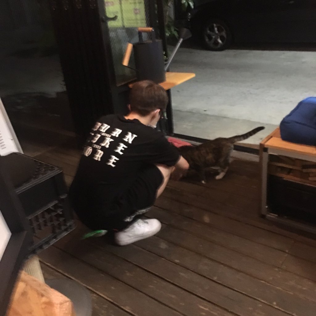 ᵗⁱⁿʸ ᴊᴜɴɢ sᴜʙɪɴ ( ´•̥-•̥` )