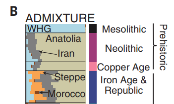 ~2900 BC Europe was invaded by people from the steppe of modern S Russia & E Ukraine speaking Indo-European languages (Latin is an IE language). By the time of foundation of the Roman Republic, IE had heavily mixed with EEFs, & comprised ~1/3 of Italian ancestry.