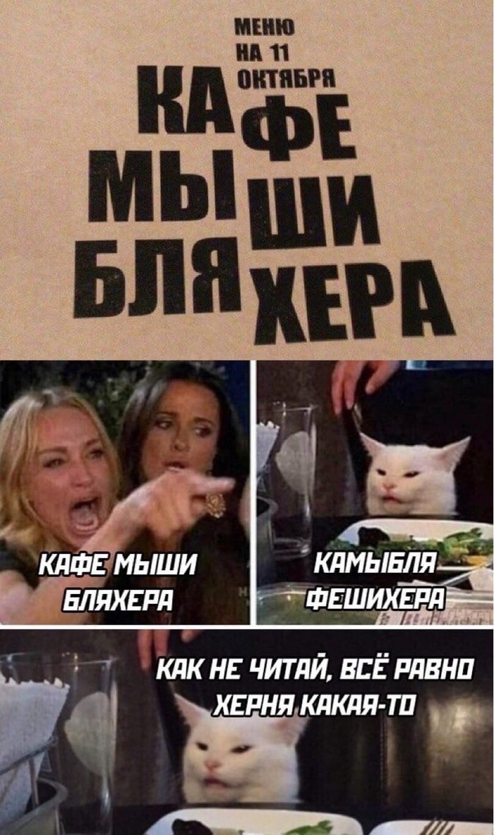 КАМЫШИ ФЕБЛЯХЕРА