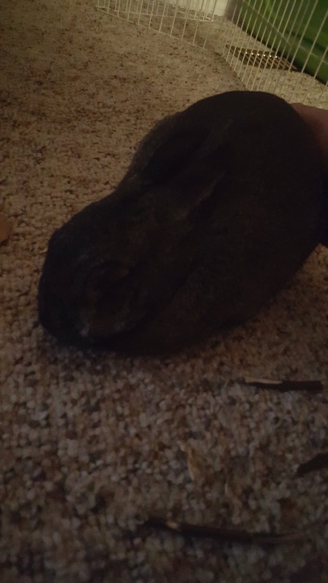 JonLueke's tweet image. #ThunderBuddy