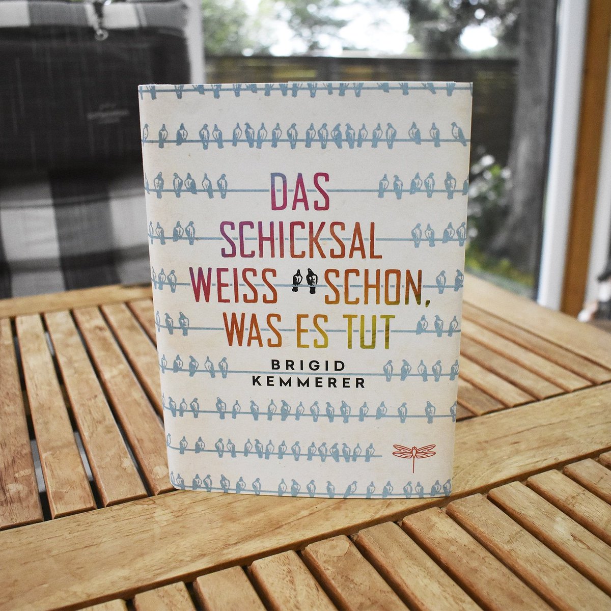 denise7xy's tweet photo. Es ist eine Geschichte ohne große Wendungen und Überraschungen, aber dafür zeigt sie sehr deutlich wie schnell Menschen andere ausgrenzen, ohne deren Gefühle und Geschichte zu kennen. Die komplette Rezension gibt's auf meinem Blog https://t.co/xhlPcNuKrG @HarperCollinsDE https://t.co/FGJkm28kY9