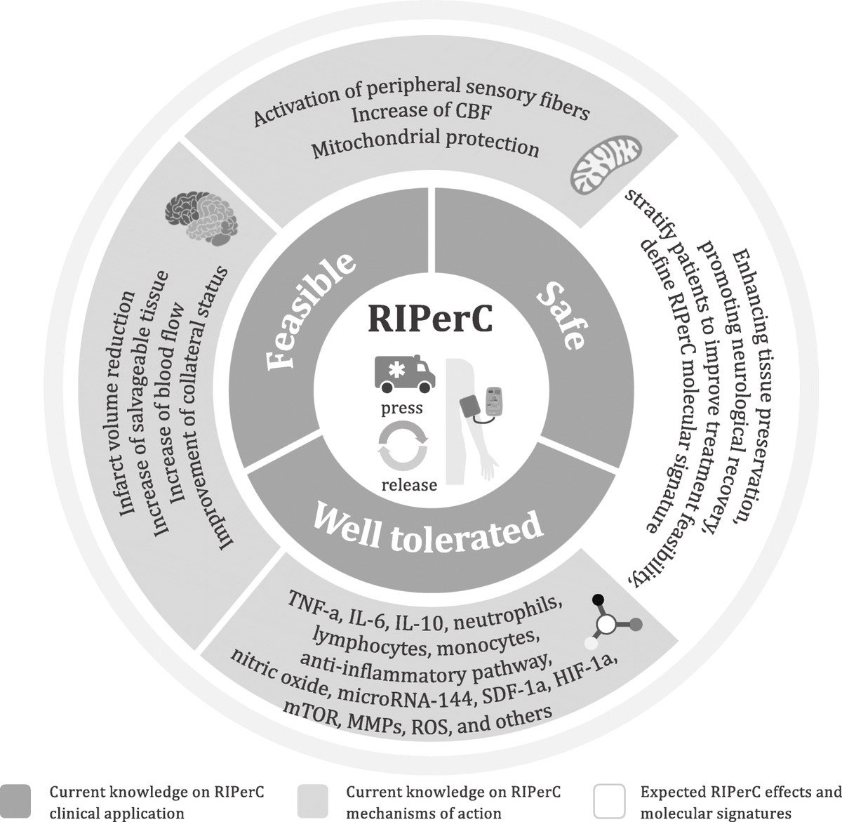 Clinical Neuroscience @IRBLleida-UdL tweet media