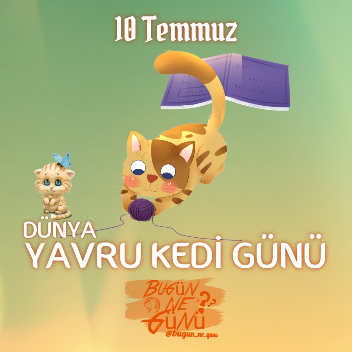 10 Temmuz- Dünya Yavru Kedi Günü.

#yavrukedi #kedi #kedisahiplenme #kedigünü #yavrukedigünü #bugünnegünü
