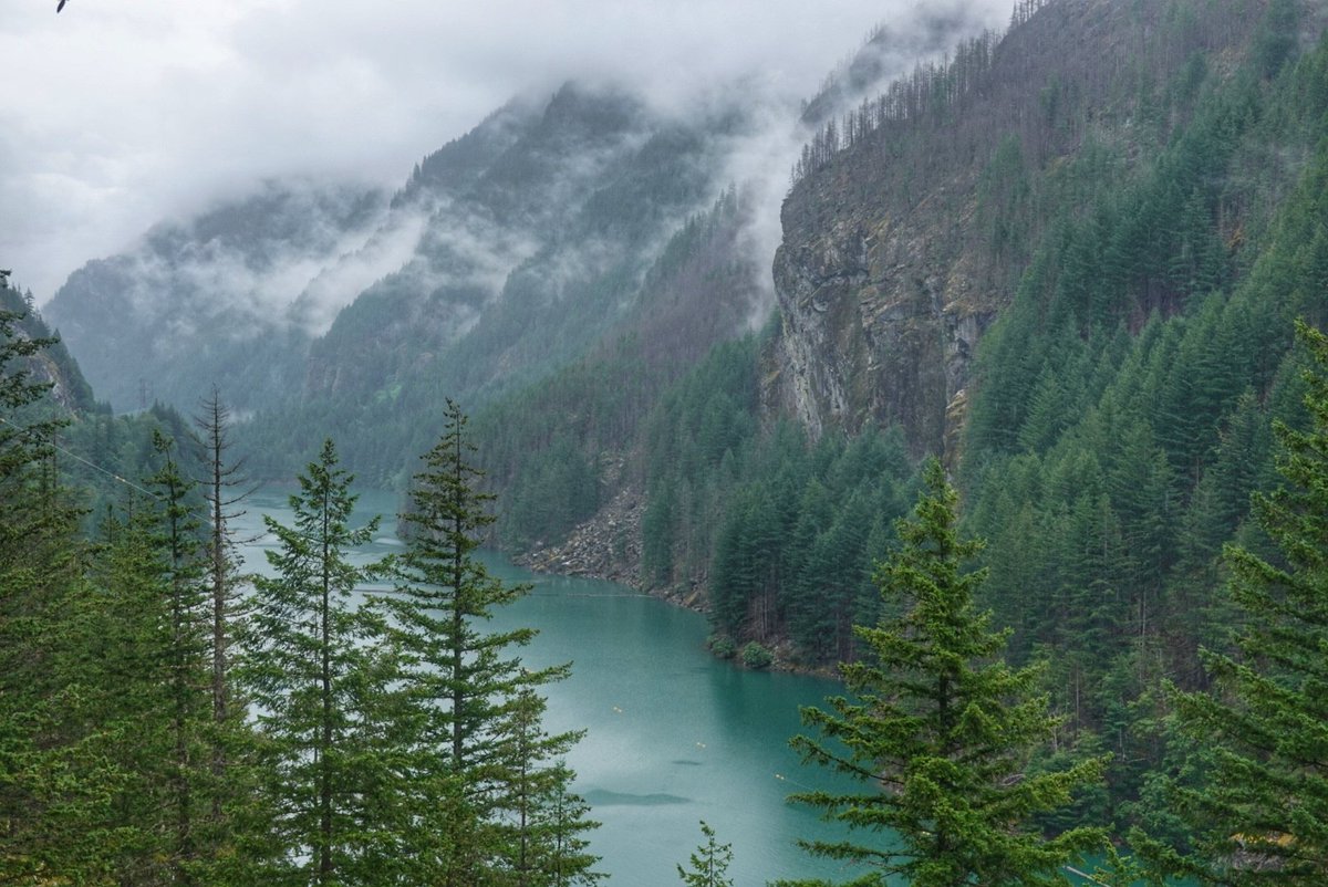 Diablo Lake. More rain, clouds and fog today at North Cascades National Park, WA, USA
#diablolake #northcascades #washingtonstate #amazingplaces #naturelovers