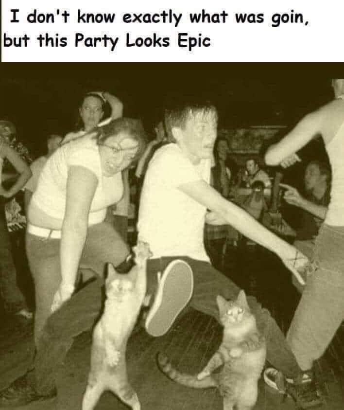 #Funniestmemes