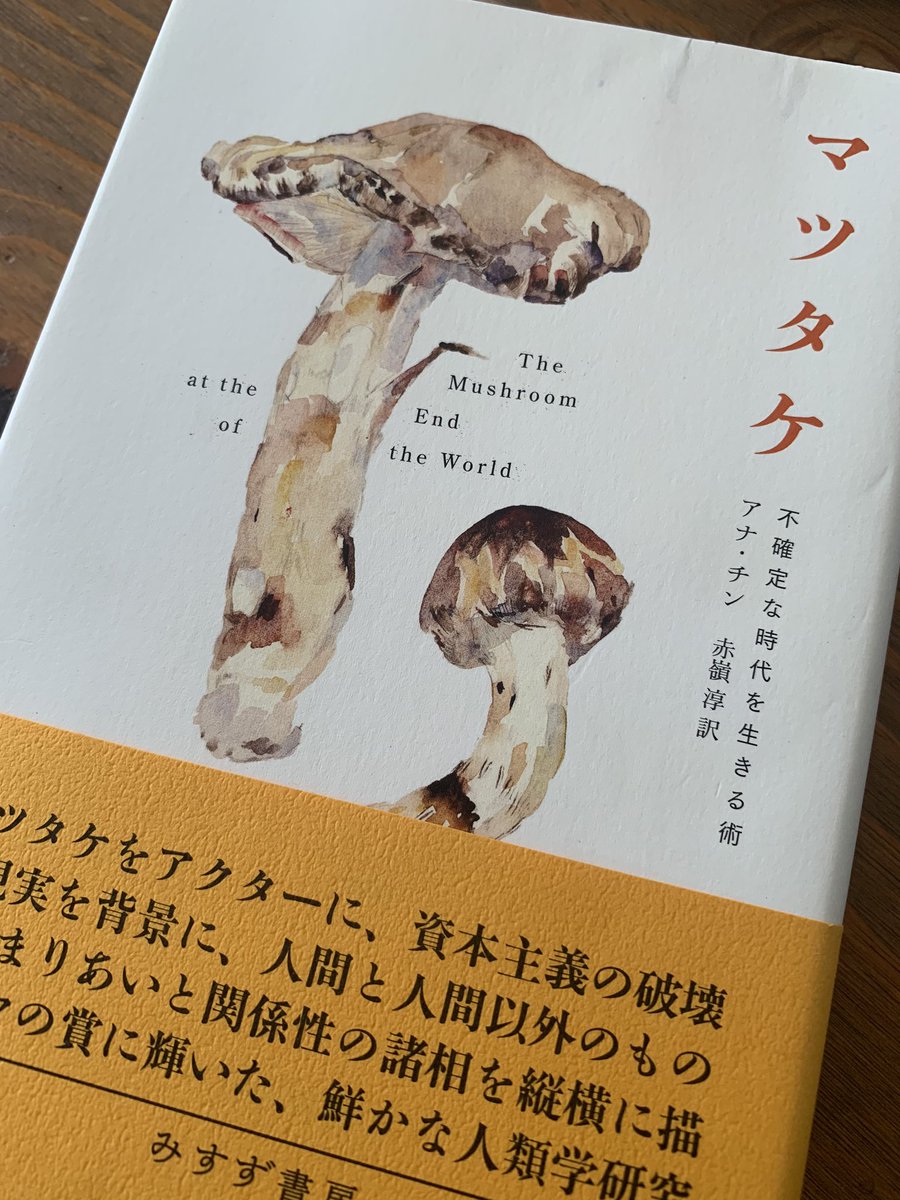 マツタケが絶滅危惧種に 27ページ目 Togetter