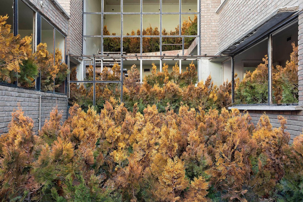 Having grown up during the Iran-Iraq war in the town of Ahvaz, near the border of Iraq, has clearly influenced the style of this young photographer. Gohar Dashti uses themes of Iran’s history and topography in stage photography to depict her surroundings and current events.