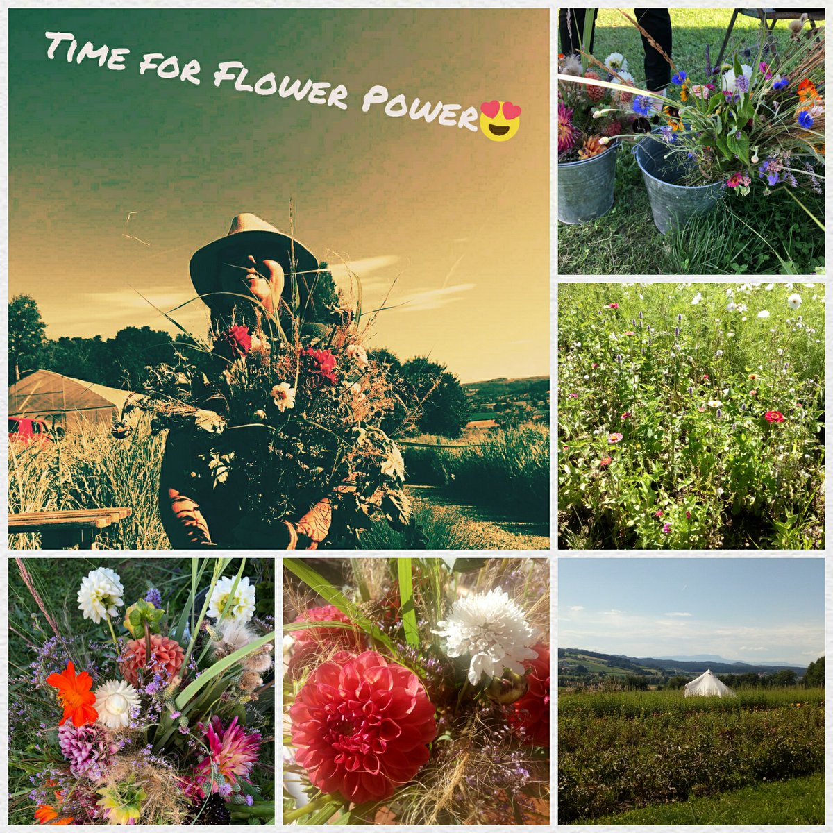 RossmannEvents's tweet image. FlowerPower Blumenworkshop #VomHügel #Biolandwirtschaft #Steiermark Blumen sammeln für jedermann und jedefrau #DIY #Hochzeitsdeko #bohostyle 😍🌻🌼