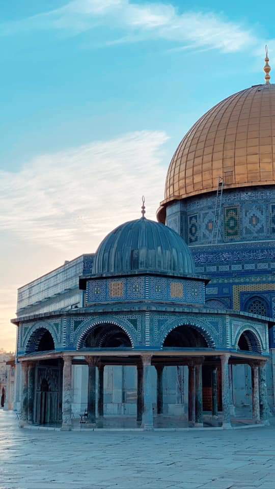 malak_quds's tweet photo. Wish you a blessed Friday. https://t.co/NQy2kSIrif