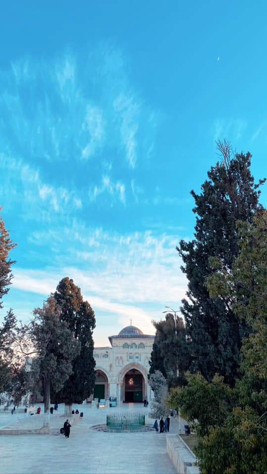 malak_quds's tweet photo. Wish you a blessed Friday. https://t.co/NQy2kSIrif