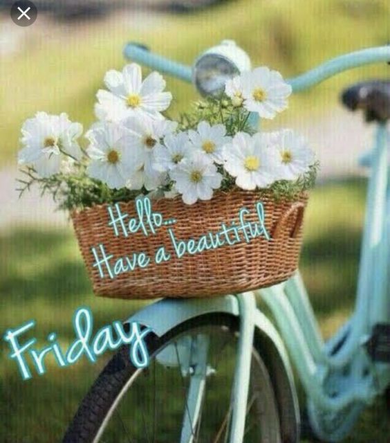 NightAlibi's tweet photo. Good morning friends! It's Friday! Have fantastic day. ☕️😎🌈🌺🌼🌟🌳🐈
#goodmorning #coffeetime #rollonweekend https://t.co/i9NowNOAdu