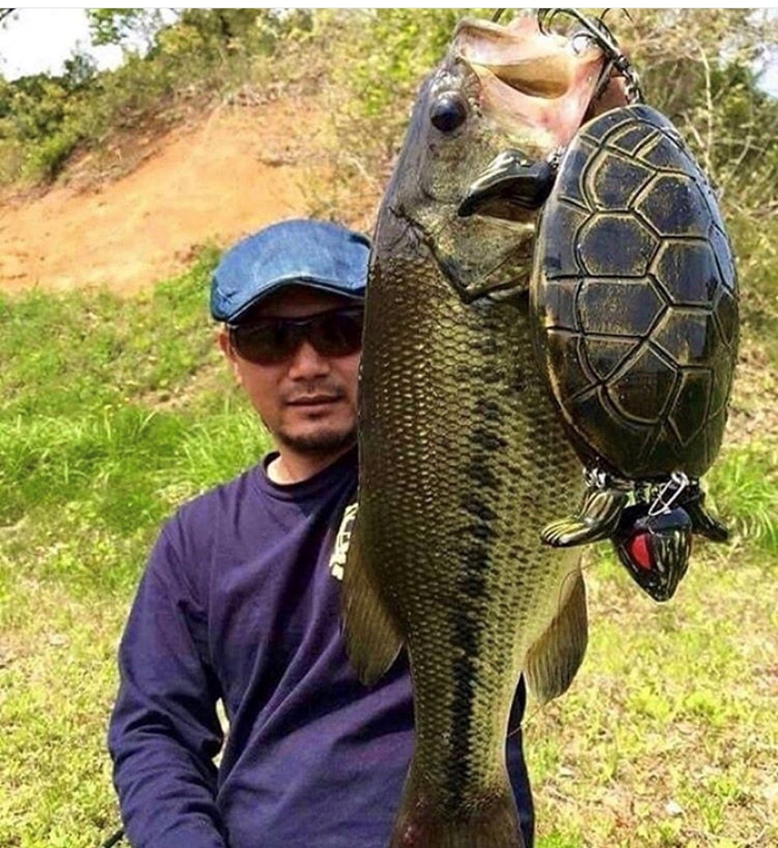 WorldFishingNetwork on X: What an insane catch on the turtle