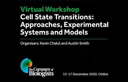 The Company of Biologists (@co_biologists) on Twitter photo Early-career researchers will be offered a one to one mentoring opportunity at our first-ever Virtual Workshop: Cell State Transitions: Approaches, Experimental Systems and Models, organised by <a href="/KevinChalut/">Kevin Chalut</a> and Austin Smith ow.ly/pLaC30qXdo9 #BiologistsWorkshop Early-career researchers will be offered a one to one mentoring opportunity at our first-ever Virtual Workshop: Cell State Transitions: Approaches, Experimental Systems and Models, organised by <a href="/KevinChalut/">Kevin Chalut</a> and Austin Smith ow.ly/pLaC30qXdo9 #BiologistsWorkshop