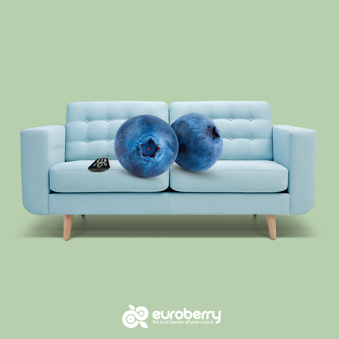 EuroberryES's tweet photo. El verano es el momento de relajarte con el snack más saludable y delicioso ¡arándanos, por supuesto! 💜 https://t.co/Y3DO8IK6To