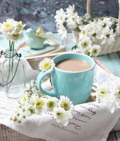 NightAlibi's tweet photo. Good morning friends! It's Friday! Have fantastic day. ☕️😎🌈🌺🌼🌟🌳🐈
#goodmorning #coffeetime #rollonweekend https://t.co/i9NowNOAdu