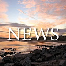 Malahide Local tweet media