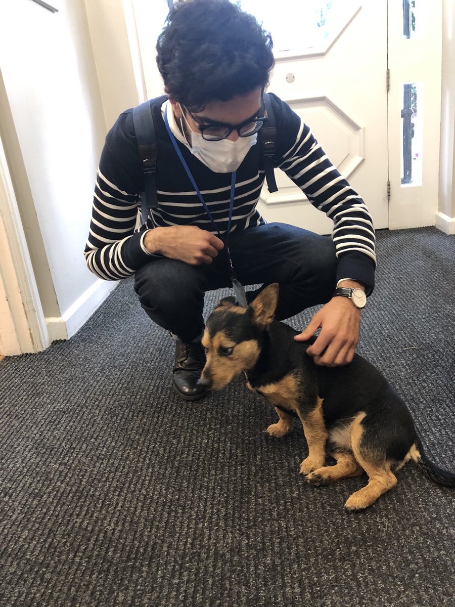 GavinGSCheema's tweet photo. Lovely surprise walking into one of the hospitals this morning. Great initiative providing comfort, distraction and stimulation for both the patients and staff alike #AAT #therapydogs https://t.co/Mnc4zcQaMm