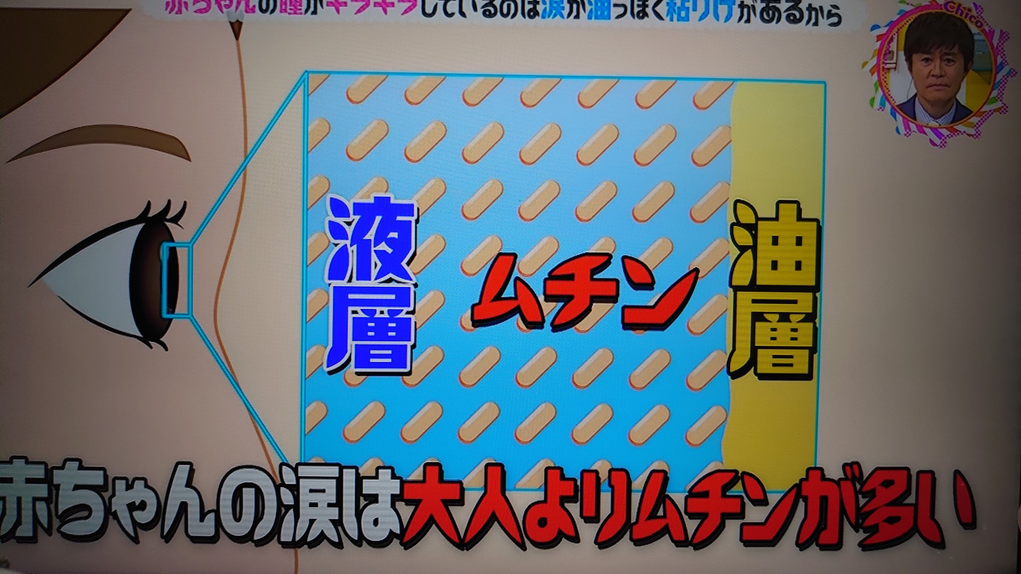 純 次はウマ娘ベルーナドーム2日目 赤ちゃんの涙には納豆やオクラに入ってるネバネバ成分のムチンが含まれてるからこそ ここまでキラキラしているのか チコちゃんに叱られる Nhk T Co 74zduom6pu Twitter