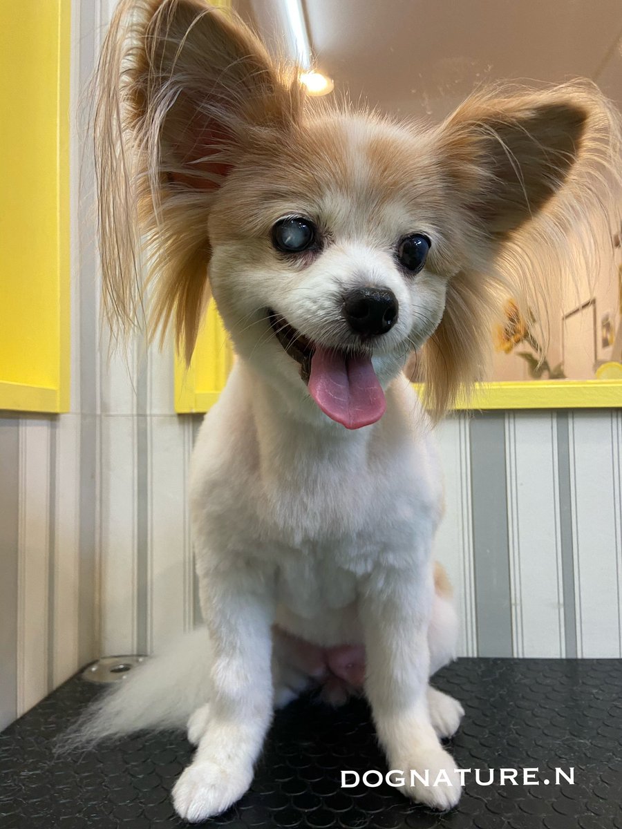 Nちゃん♪先日のご来店ありがとうございます♪