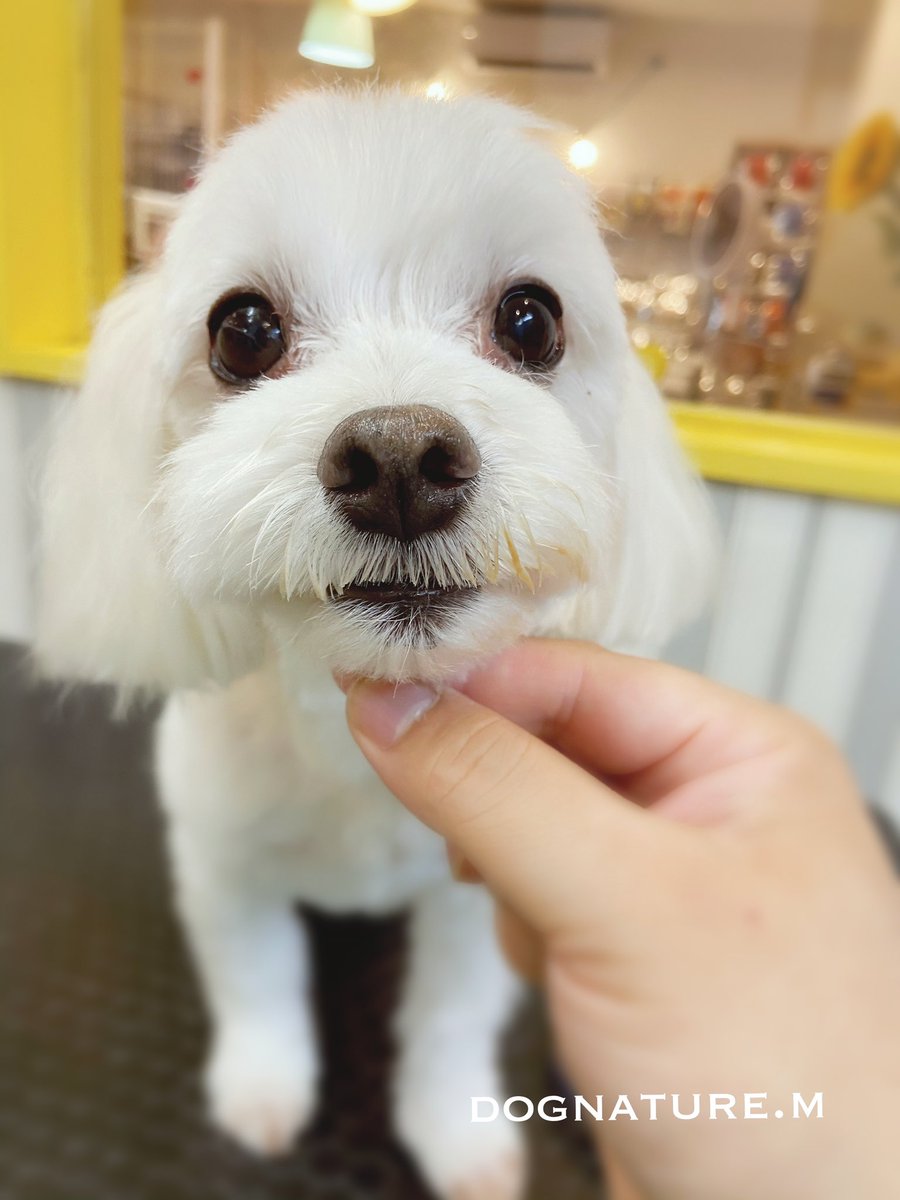 Mちゃん♪先日のご来店ありがとうございます♪