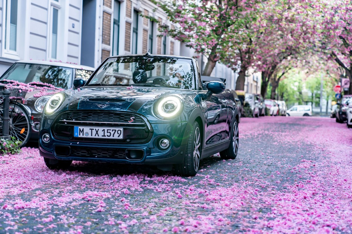 VinesgroupMINI's tweet photo. The new MINI Convertible Sidewalks meets Cherry Blossom. 

#MINI #VinesMINI #MINIUK #MINIConvertible #MINI2020 #MINIlife #MINIlove #MINIfans https://t.co/TZBRvcoCDd