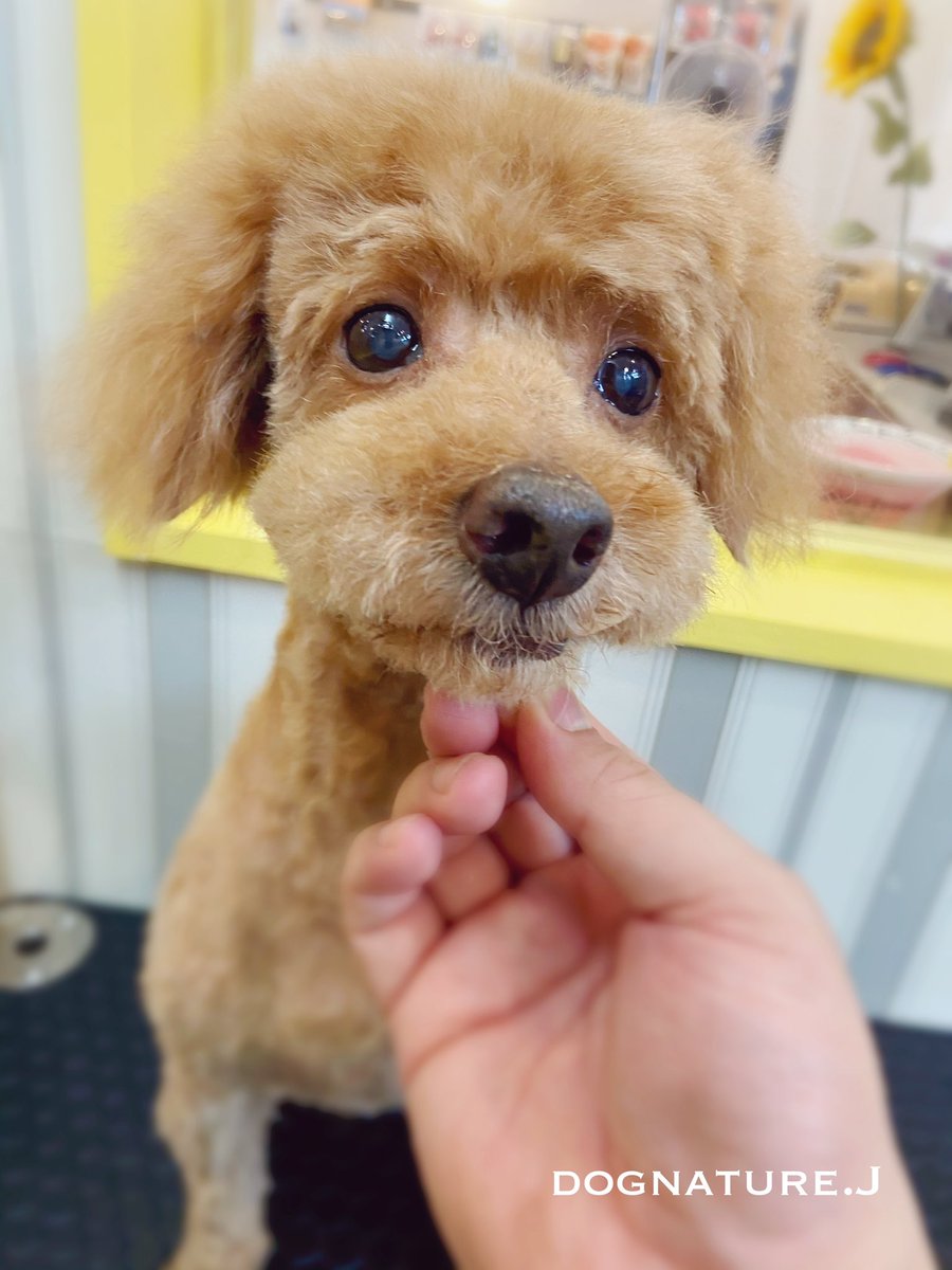 Jちゃん♪先日のご来店ありがとうございます♪