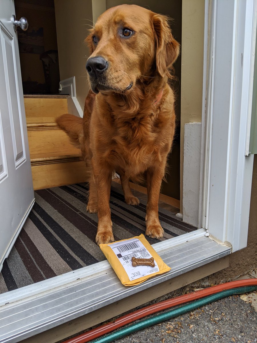 jme900's tweet photo. Our pup tends to bark whenever deliveries are made, but this time the @UPS_Canada delivery guy went back to his truck and added a little treat for her. She says, 'THANK YOU!' #kindness #youneedapromotion #happypup #happycustomer https://t.co/dEggFFfEWh