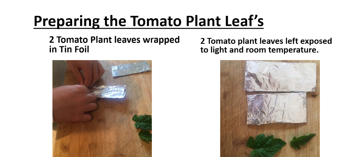 Millie Gelder tweet media