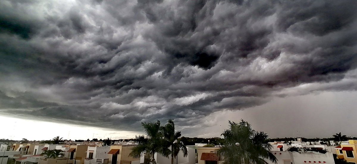 miguelunch4's tweet photo. @webcamsdemexico @Miralto Mérida, Yucatán. https://t.co/EmsKkxWywB