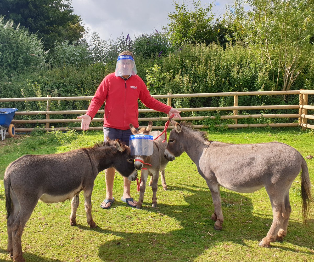 PennywellFarm's tweet photo. The miniature donkeys and ponies at Pennywell Farm don't seem keen on this social distancing thing. Fortunately the visitors are far less difficult to convince! #SocialDistancing #SafetyFirst #OnlyInDevon
@SunPictureDesk @itvwestcountry @Metropixdesk @Mailonlinepics https://t.co/gv8kzhshhM