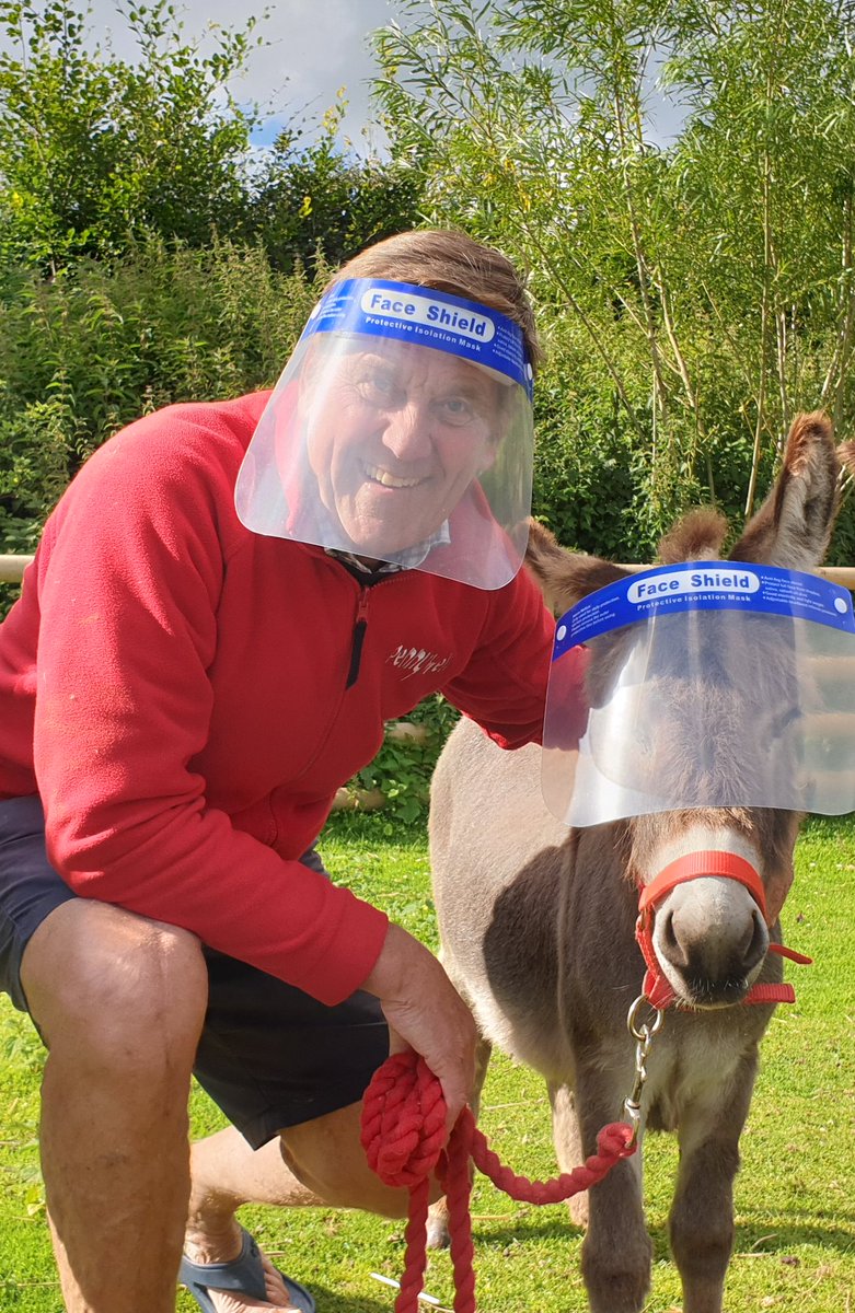 PennywellFarm's tweet photo. The miniature donkeys and ponies at Pennywell Farm don't seem keen on this social distancing thing. Fortunately the visitors are far less difficult to convince! #SocialDistancing #SafetyFirst #OnlyInDevon
@SunPictureDesk @itvwestcountry @Metropixdesk @Mailonlinepics https://t.co/gv8kzhshhM