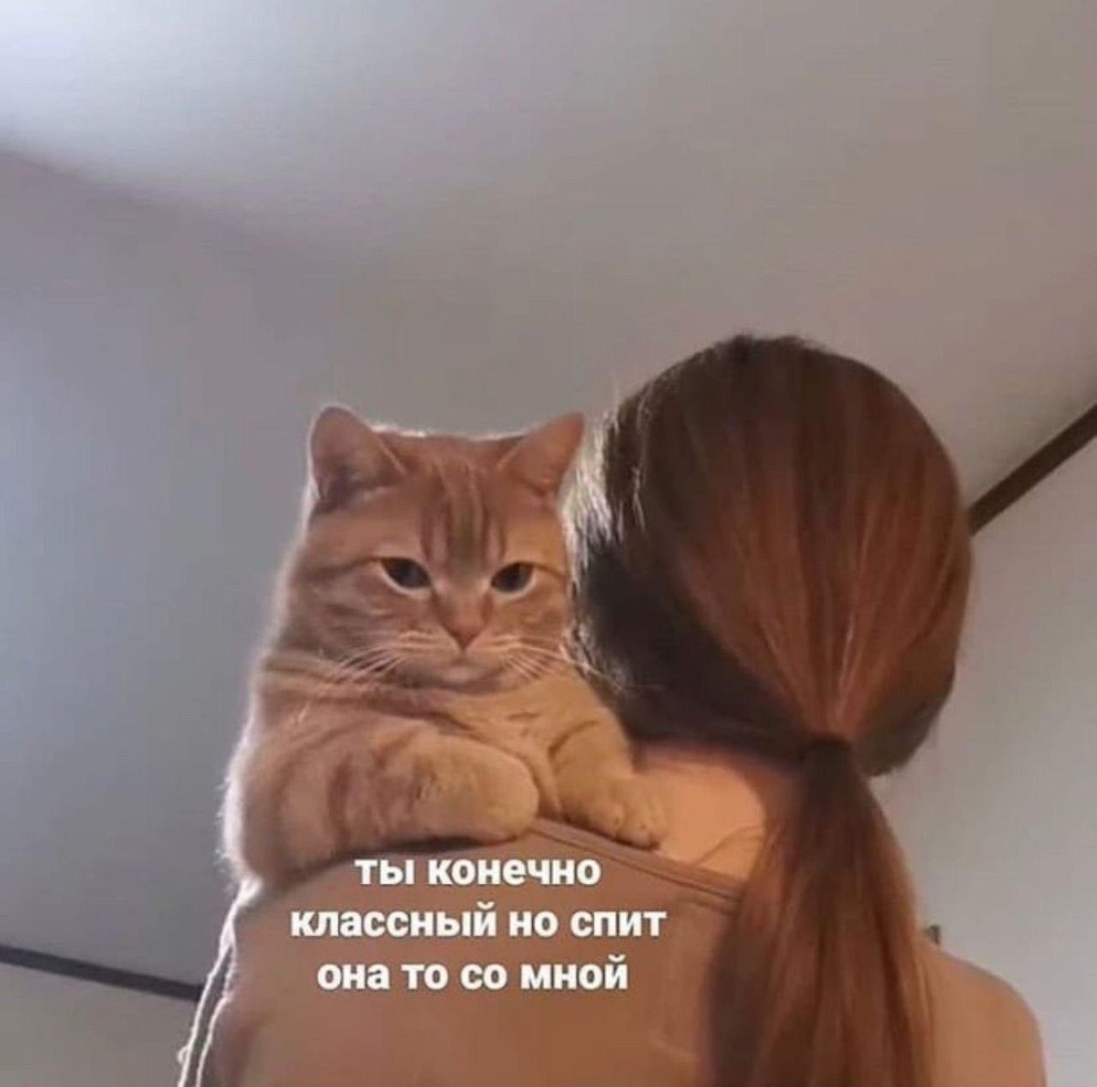 RussianMemesLtd's tweet photo. Of course you're cool, but she sleeps with me https://t.co/ZjQYKakvvl