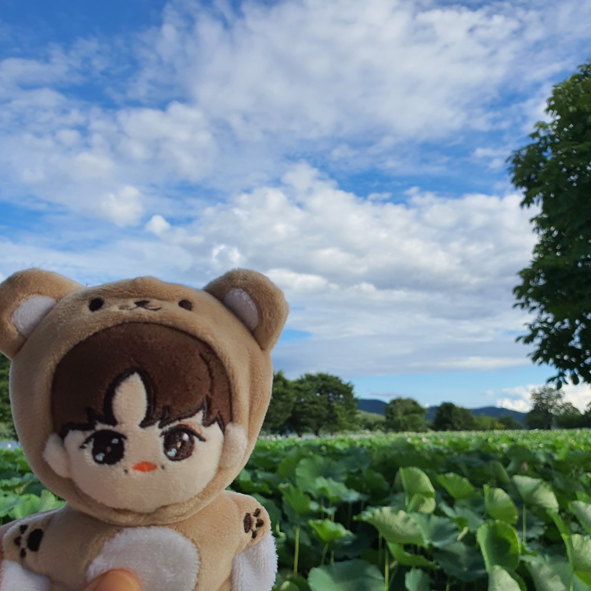 #떤토끼 데리구 나들이