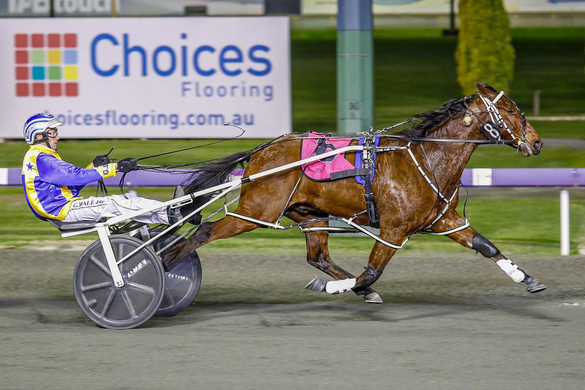 Racing WA - Harness tweet media