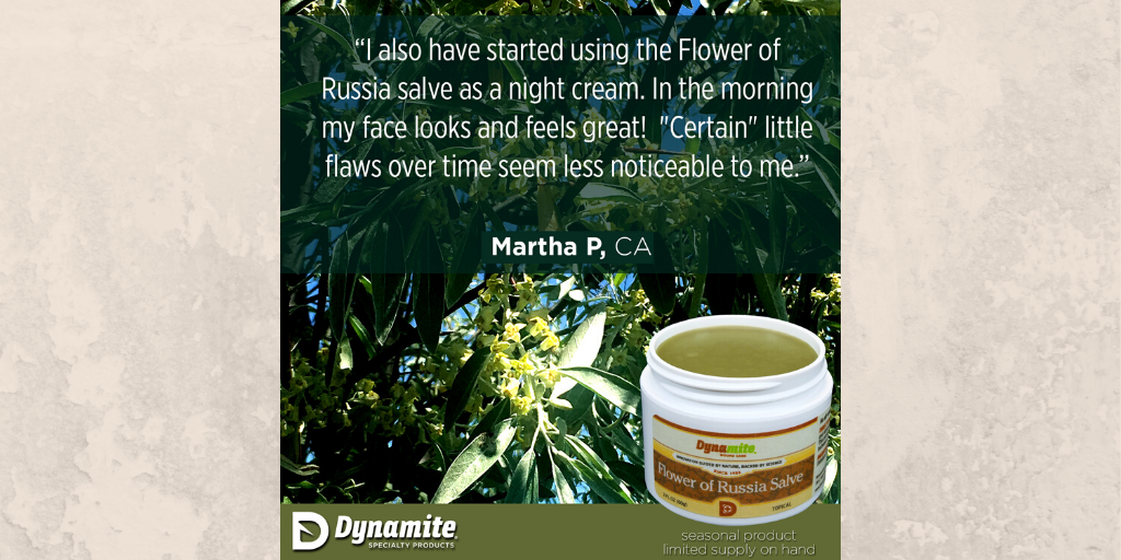 DynaSpecialty's tweet photo. Dynamite's #FlowerofRussia Salve has been used for many things through the years. Users swear by it as their go-to for skin issues. It's seasonal, so get it here before it's gone: https://t.co/LfXMxvy3fZ #NightCream #DynamiteYOU https://t.co/rXHrUjIwgN