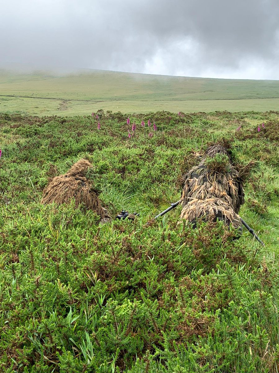 RoyalMarines's tweet photo. Sharpshooters. #RoyalMarines snipers have been testing their world-class marksmanship on Dartmoor's training area. 

This exercise was all about developing sniping as #FutureCommandoForce work continues.

Read more: https://t.co/yDbc8wYjWI https://t.co/8gttQNyCaN