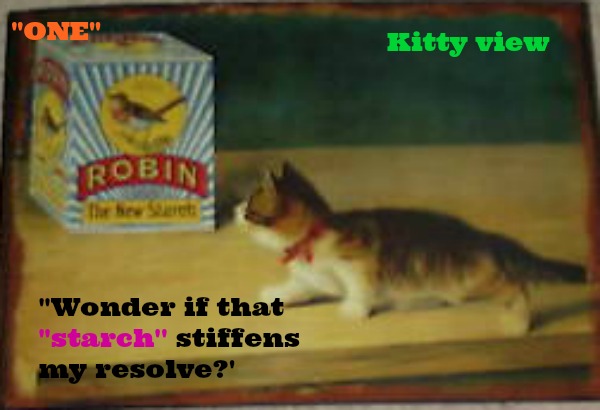 kittyguy77's tweet image. oldies as still sick with this bug