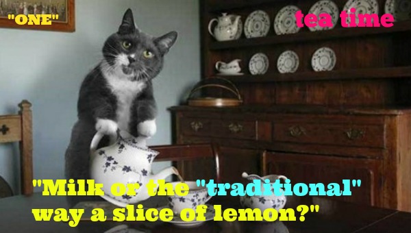 kittyguy77's tweet image. oldies as still sick with this bug